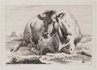 KG 07717
<br/>
Liggende koe
<br/>
<em>Varelen, Jacob Elias van (1757-1840)</em>